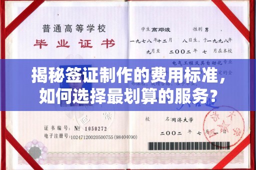 雷山揭秘签证制作的费用标准，如何选择最划算的服务？