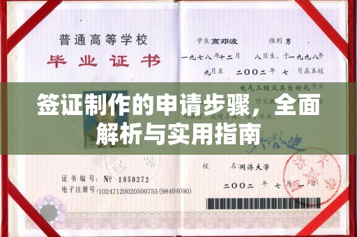 雷山签证制作的申请步骤，全面解析与实用指南
