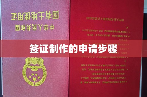 雷山签证制作的申请步骤