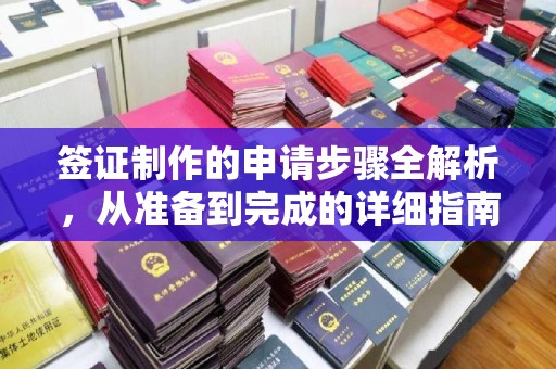 雷山签证制作的申请步骤全解析，从准备到完成的详细指南