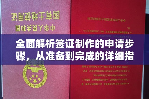 雷山全面解析签证制作的申请步骤，从准备到完成的详细指南
