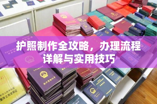 雷山护照制作全攻略，办理流程详解与实用技巧