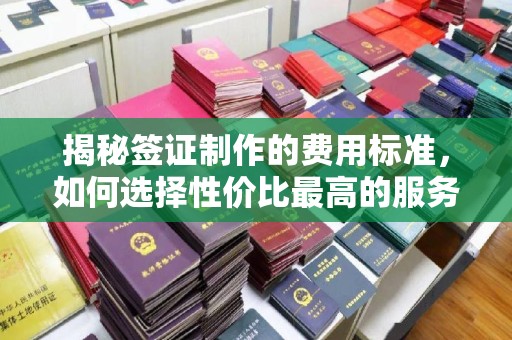 雷山揭秘签证制作的费用标准，如何选择性价比最高的服务？
